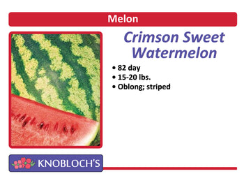 Melon - Watermelon Crimson Sweet