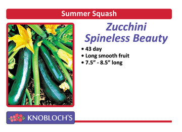Zucchini - Spineless Beauty